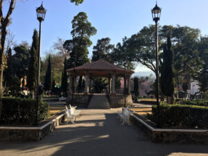 gallery_image-130